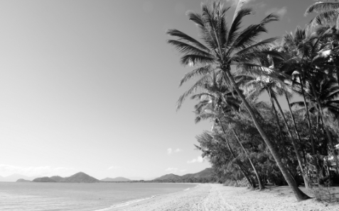 WEALTH <br>MANAGEMENT