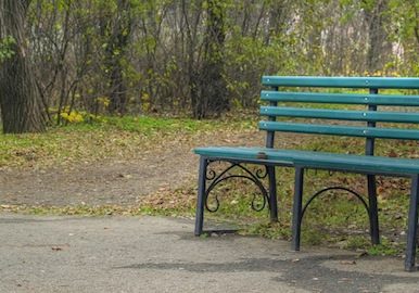 wooden bench in the park