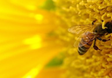 be_motivational_greene_consulting